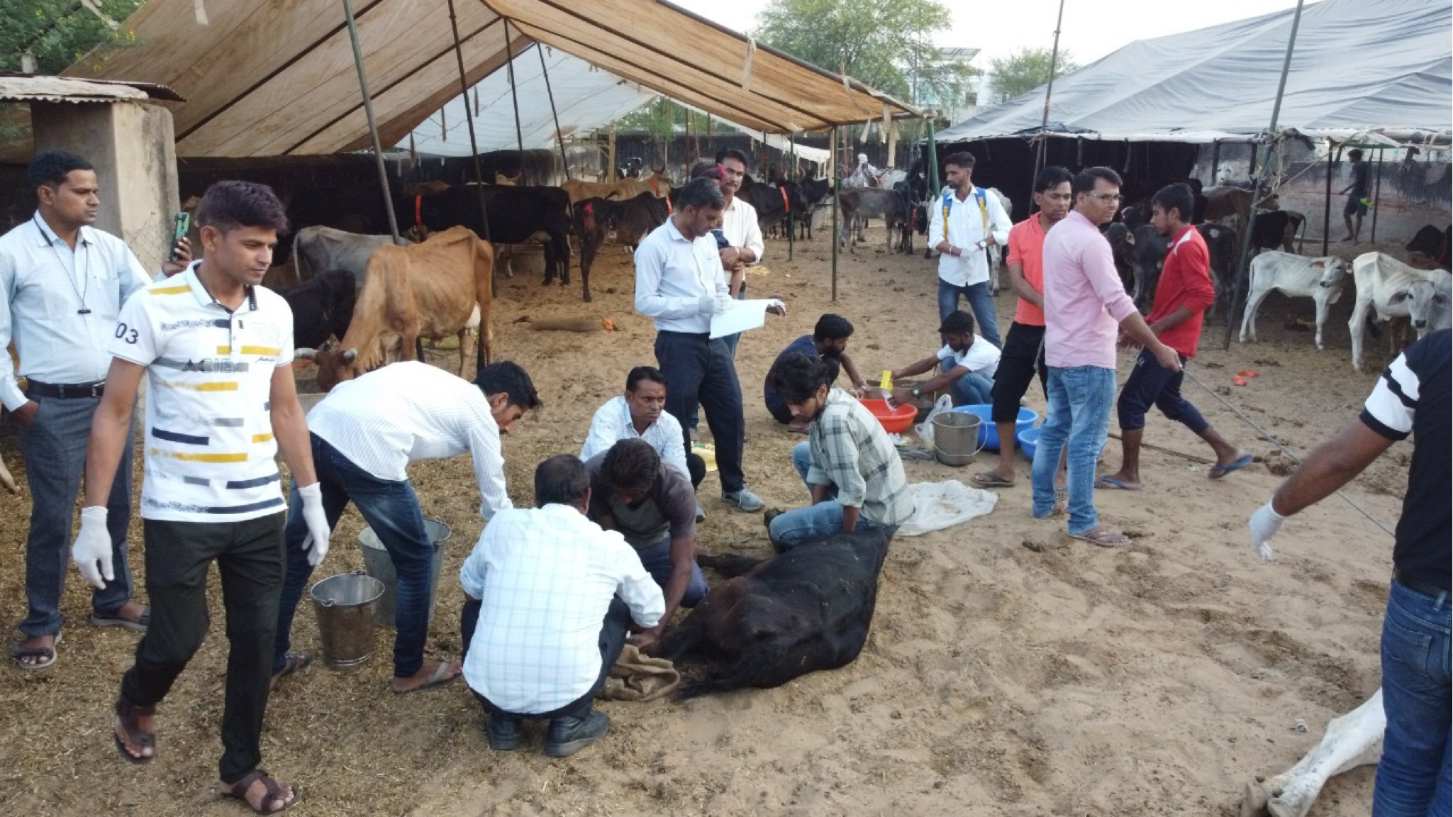R P PANSARI JAN SEVA TRUST